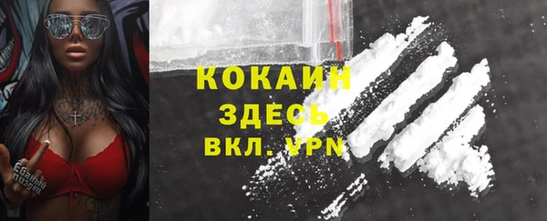 2c-b Белокуриха