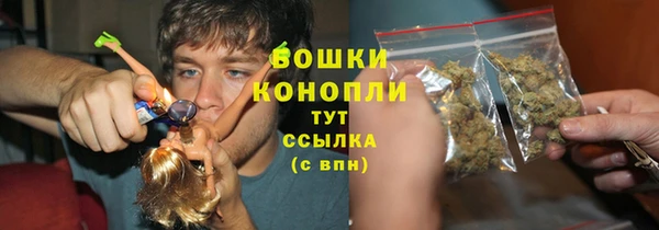2c-b Белокуриха