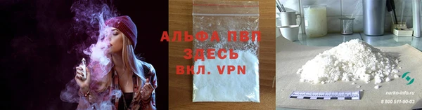 индика Баксан