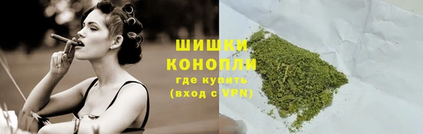 индика Баксан