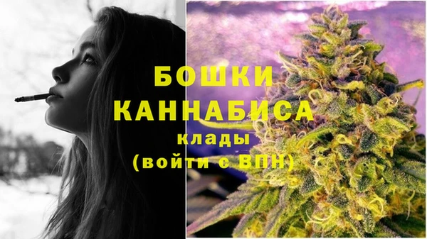 2c-b Белокуриха