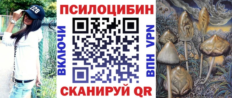 Галлюциногенные грибы Cubensis Купить закладки Беслан